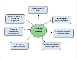 What Are the Negative Effects of Liming?