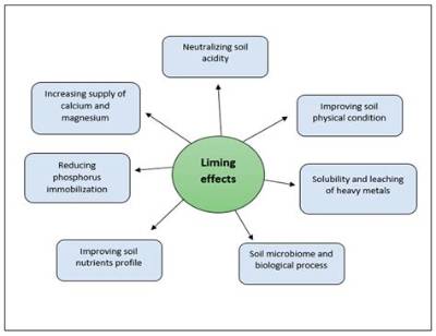 What Are the Negative Effects of Liming?