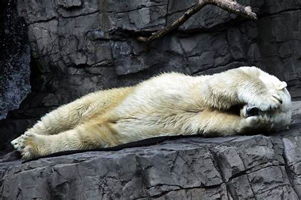 What Are the Saddest Animals?