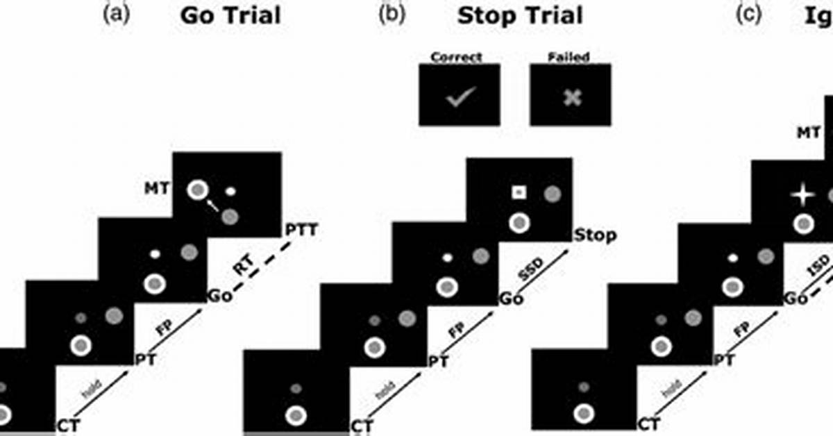 What Are the Sequence of the Stop Codons?