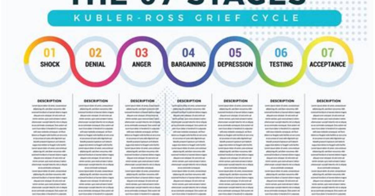 What Are the Seven 7 Stages of Intoxication?