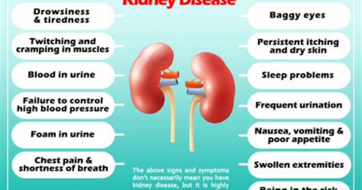 What Are the Signs of Kidney Problems in Dogs?