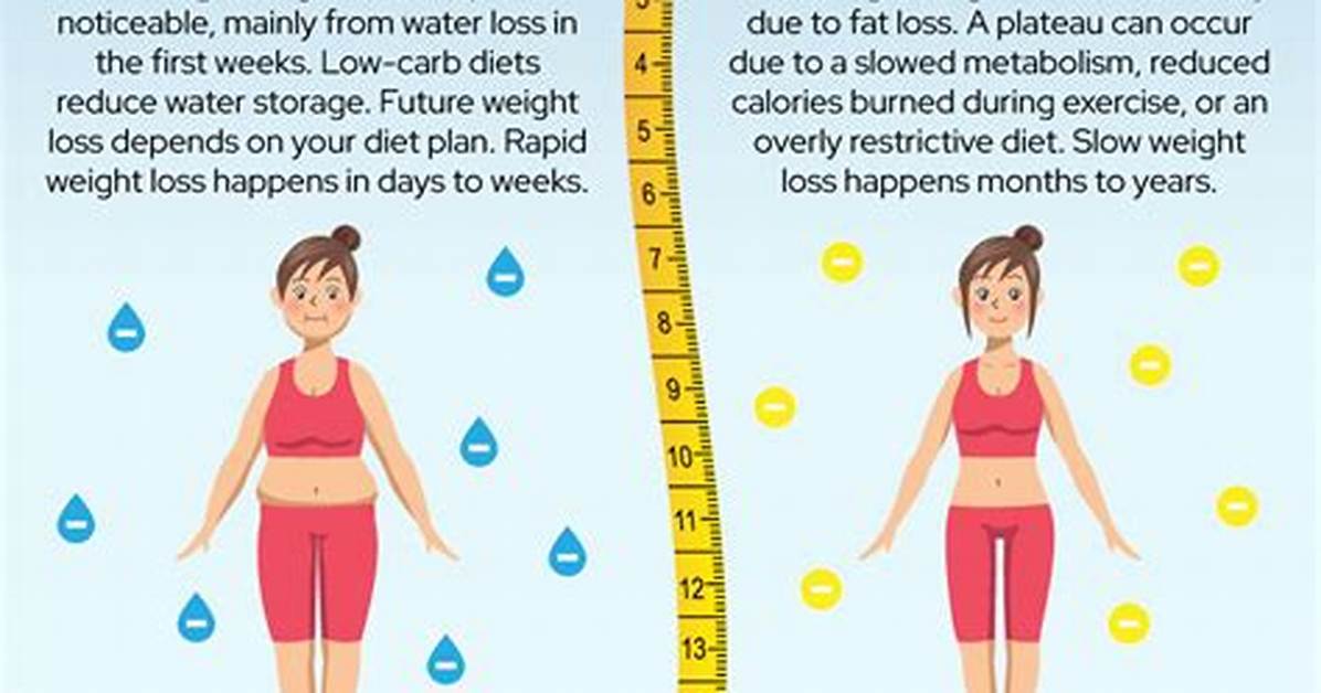 What Are the Stages of Losing Weight?