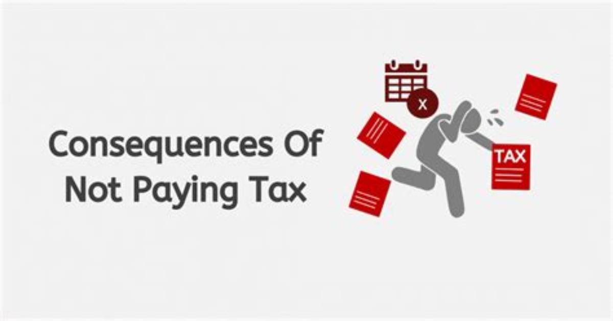 What Are the Tax Consequences of a S Corp Distribution?