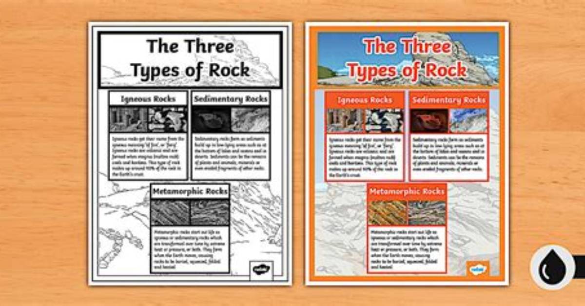 What Are the Three Types of Fall?