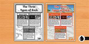 What Are the Three Types of Fall?