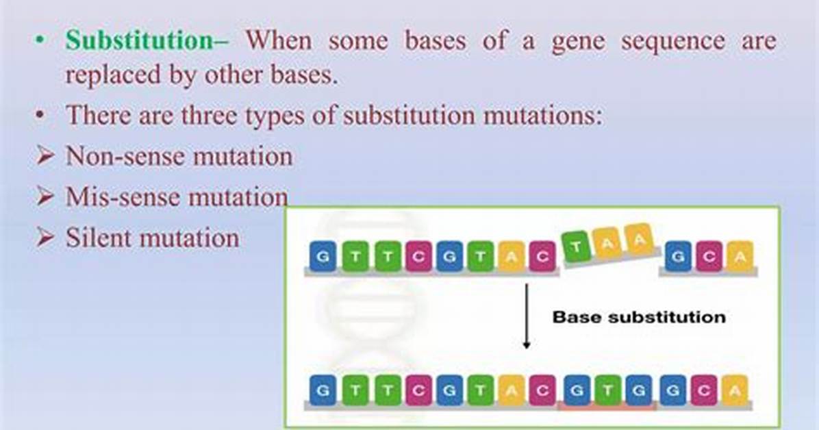 What Are the Three Types of Substitution Point Mutations?
