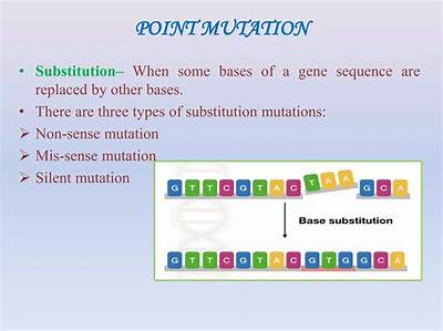 What Are the Three Types of Substitution Point Mutations?