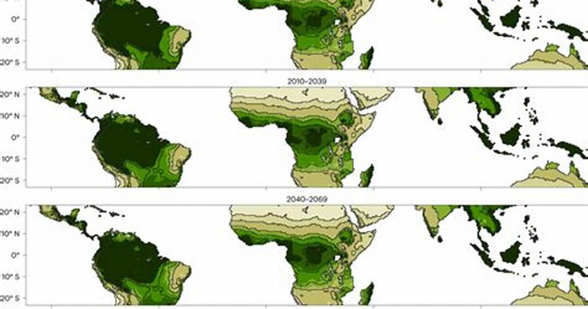 What Are the Tropics? - Lisbd-Net. Com