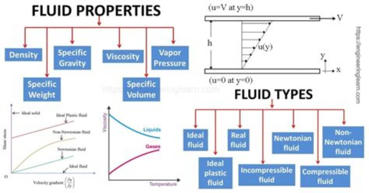 What Are the Two Fluid Types Found in the Eye?