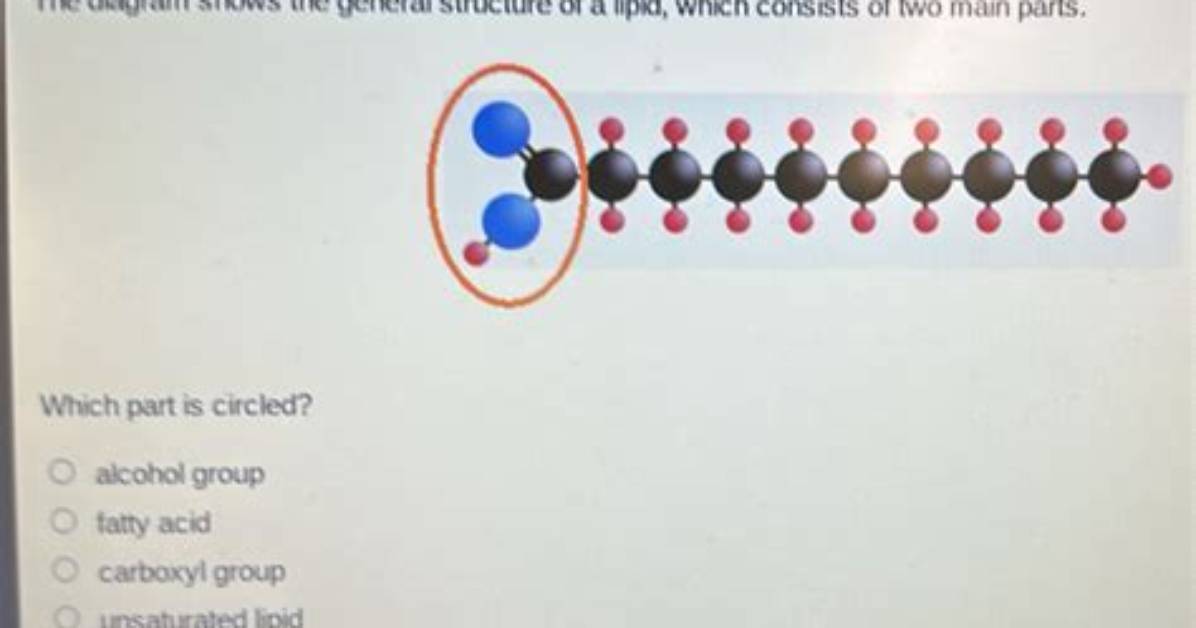 What Are the Two Main Parts of the Speech Answer?