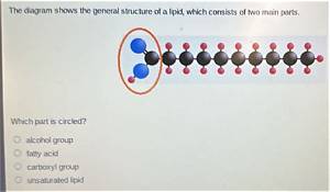 What Are the Two Main Parts of the Speech Answer?
