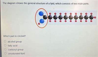 What Are the Two Main Parts of the Speech Answer?