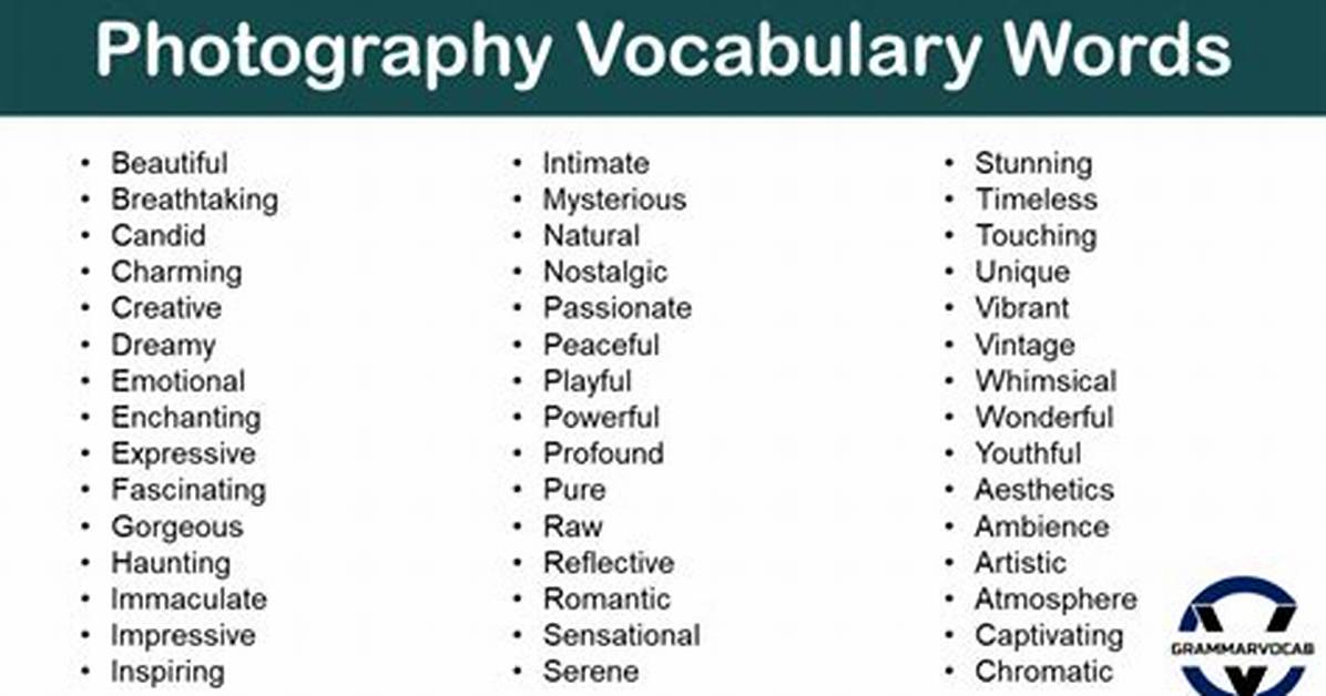What Are the Words Associated with Photography?