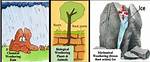 What Are Three Types of Mechanical Weathering