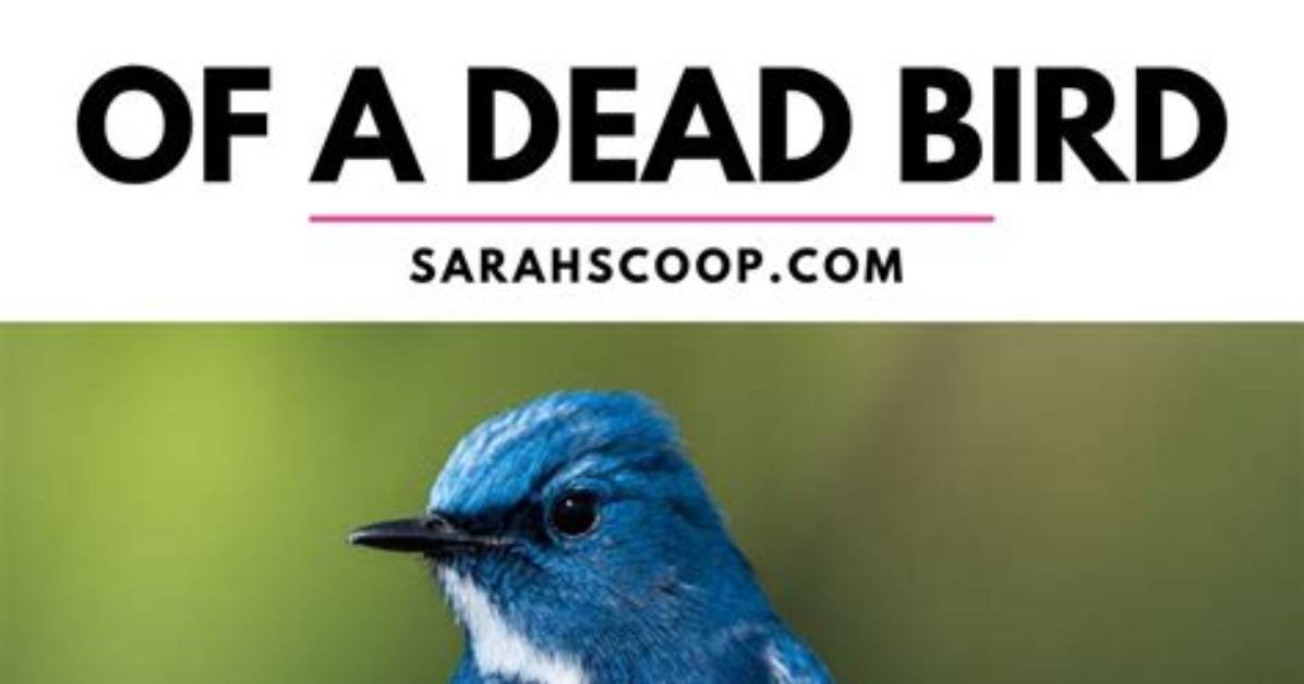 What Bird Symbolizes Death of a Loved One