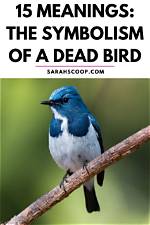 What Bird Symbolizes Death of a Loved One