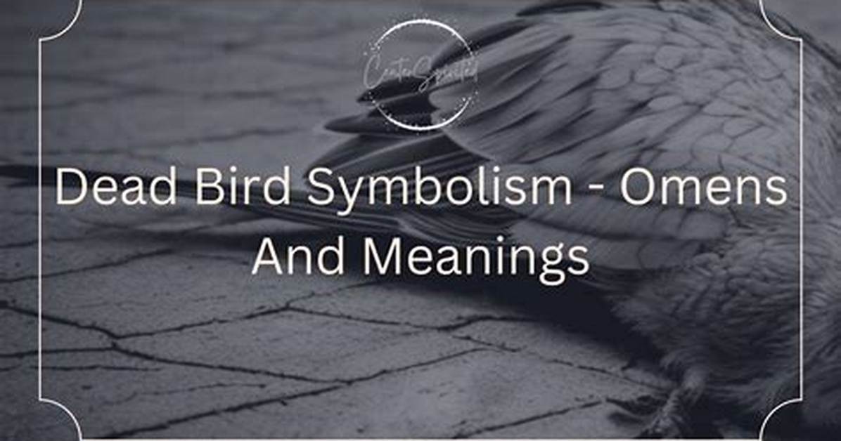 What Birds Represent Death?