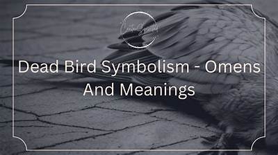 What Birds Represent Death?