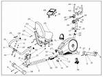 What Body Parts Does a Recumbent Bike Work?