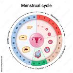 What Can I Name My Cycle?