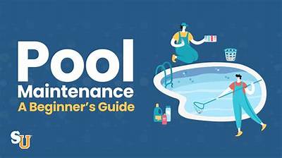 What Can I Put in My Pool to Stop Bees from Drowning?