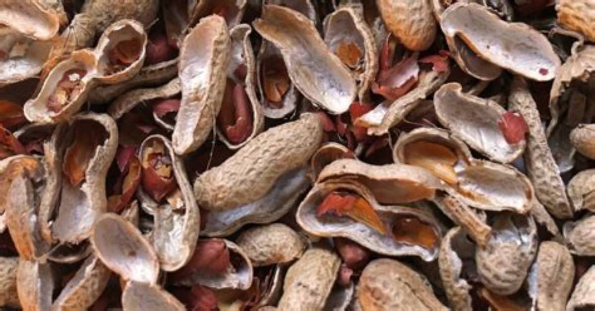 What Can Nut Shells Be Used for?