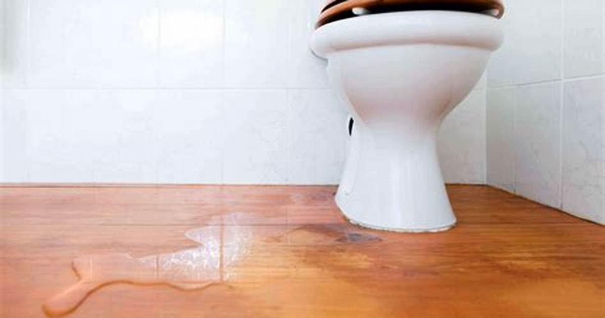 What Can You Do for a Leaking Roof When You Have No Money to Replace It