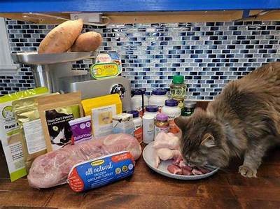 What Cat Food Is Good for Cats?