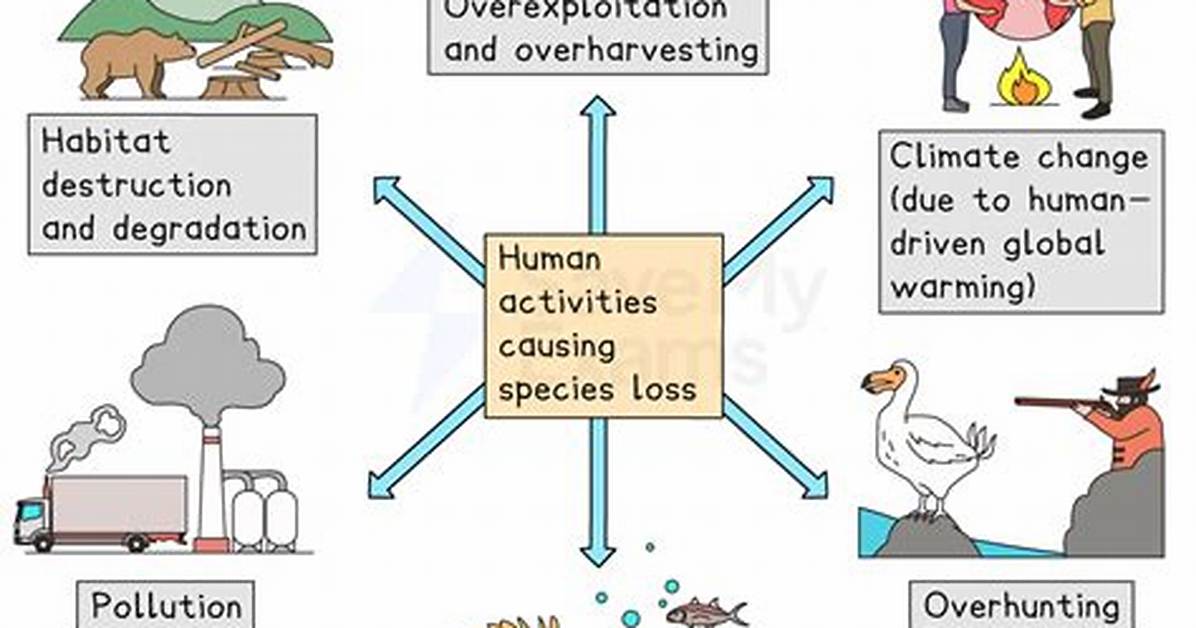 What Caused the Widespread Depletion of Biological Resources in the Caribbean?