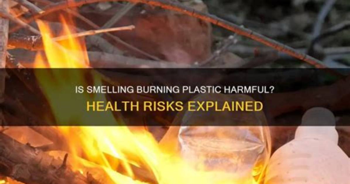 What Causes a Burned Plastic Smell in a Microwave?