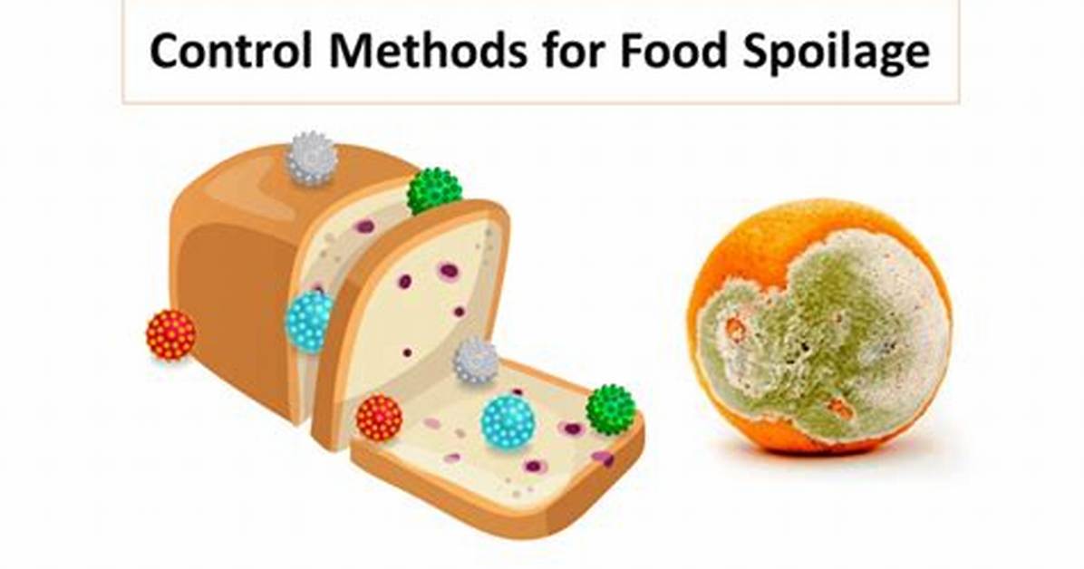 What Causes Cookie Spoilage?