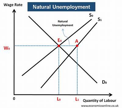 What Causes Natural Unemployment Fall?