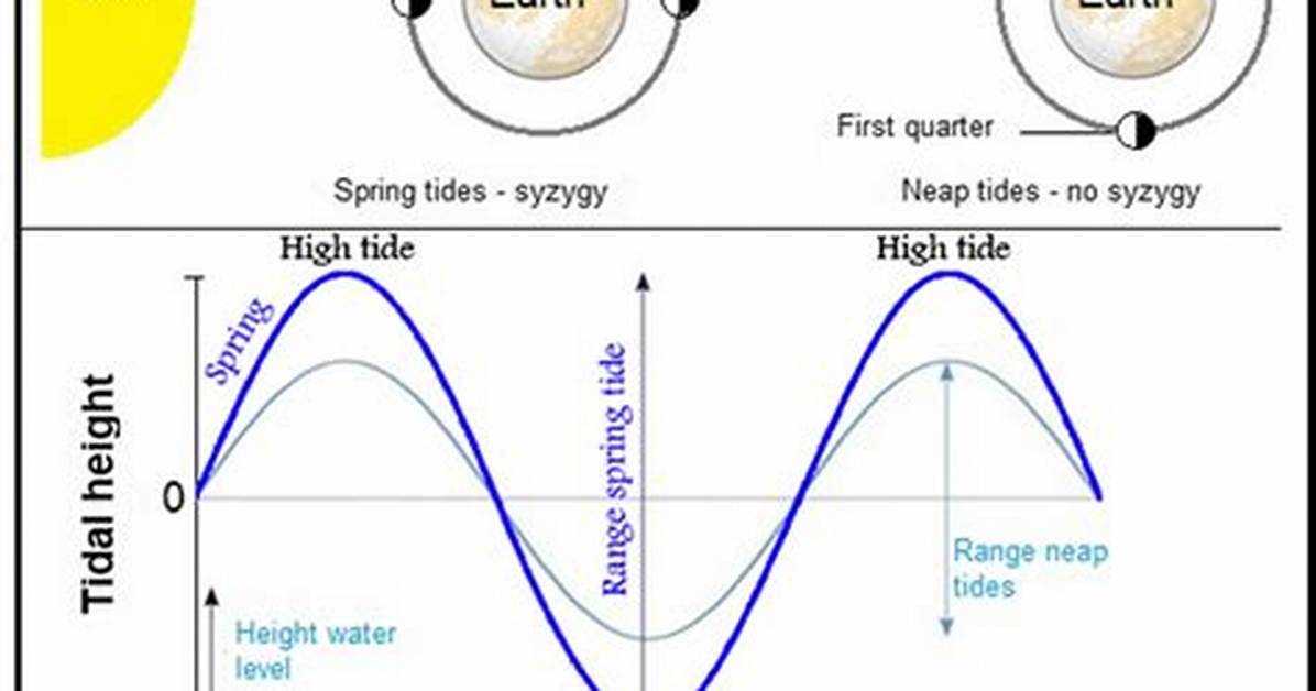 What Causes Semidiurnal Tides - Lisbd-Net. Com