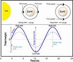 What Causes Semidiurnal Tides - Lisbd-Net. Com