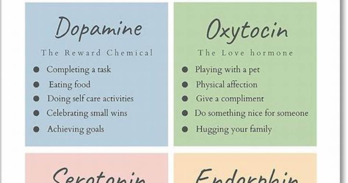 What Chemical Is Released with Anxiety?