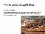 What Climates Have Predominantly Mechanical Weathering?