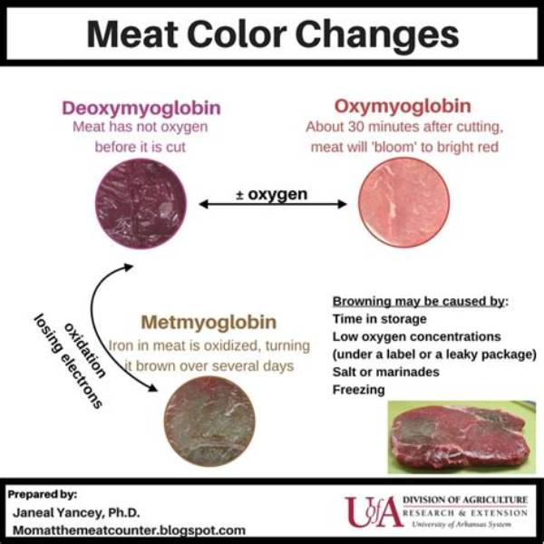 What Color Does Meat Turn When Bad?