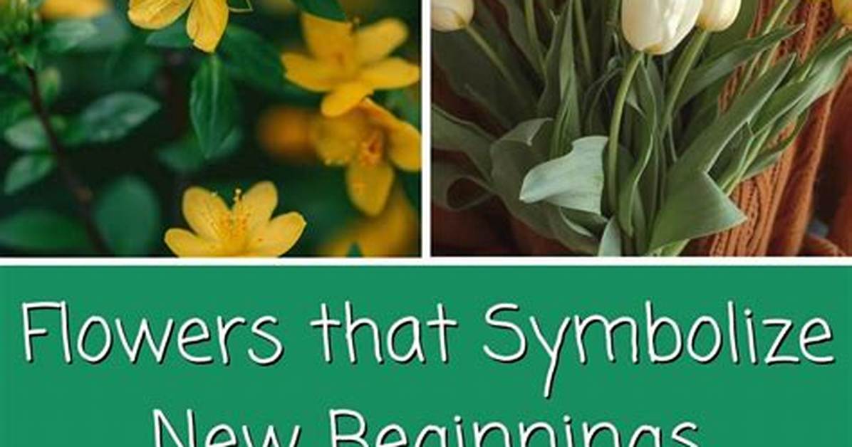 What Color Flower Symbolizes New Beginnings?