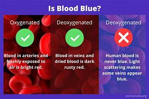 What Color Human Blood Is Blue?