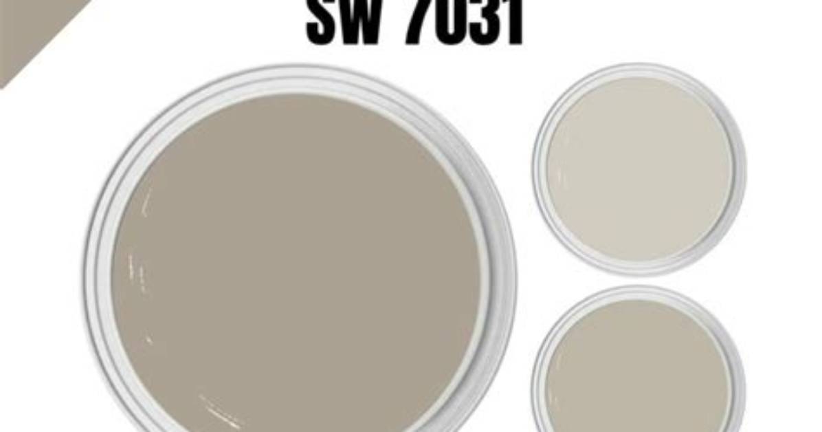 What Color Is Sherwin Williams Mega Greige?