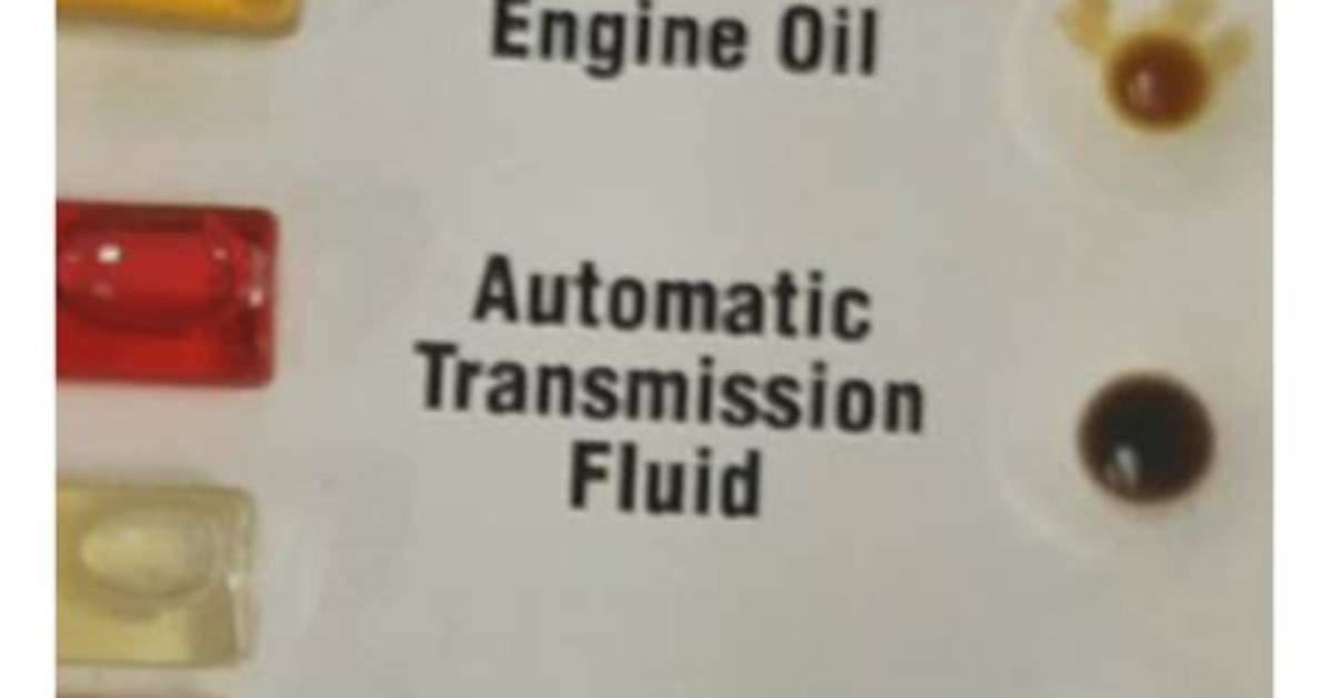 What Colour Is Gearbox Oil?