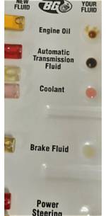 What Colour Is Gearbox Oil?
