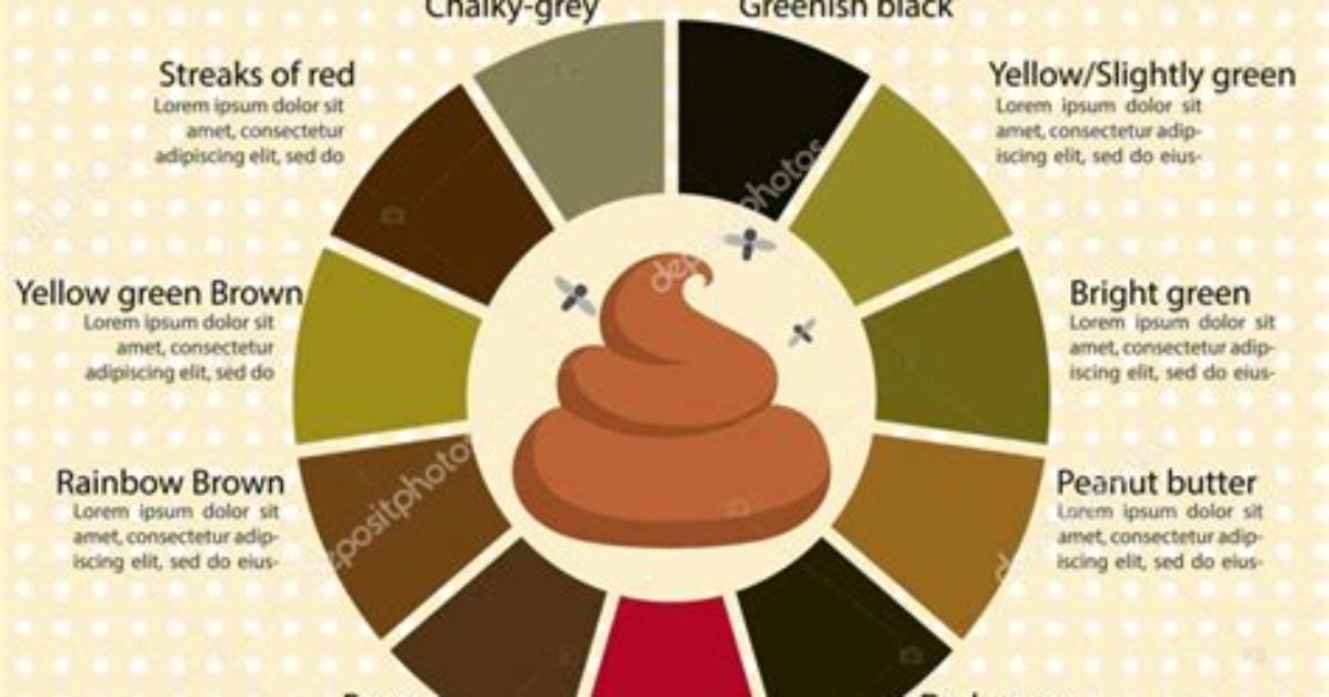 What Colour Should Stools Be Nhs?