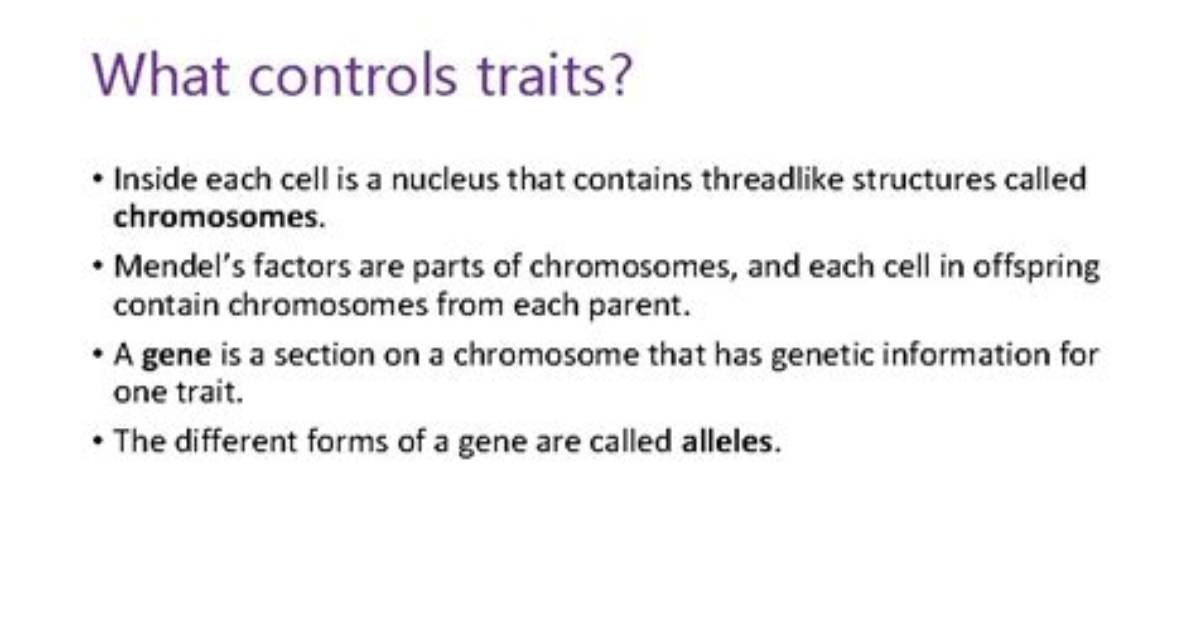 What Controls Traits in Organisms