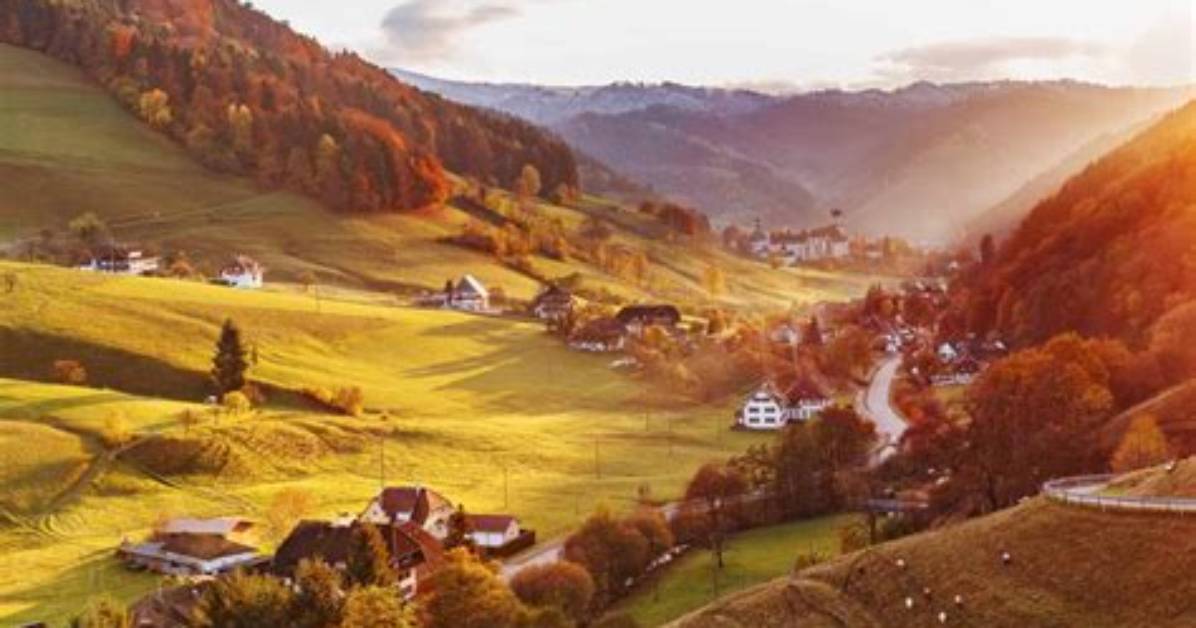 What Country Is the Black Forest in?