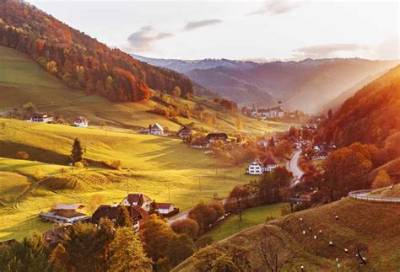 What Country Is the Black Forest in?