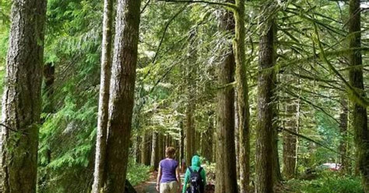 What County Is Brightwood Oregon in?