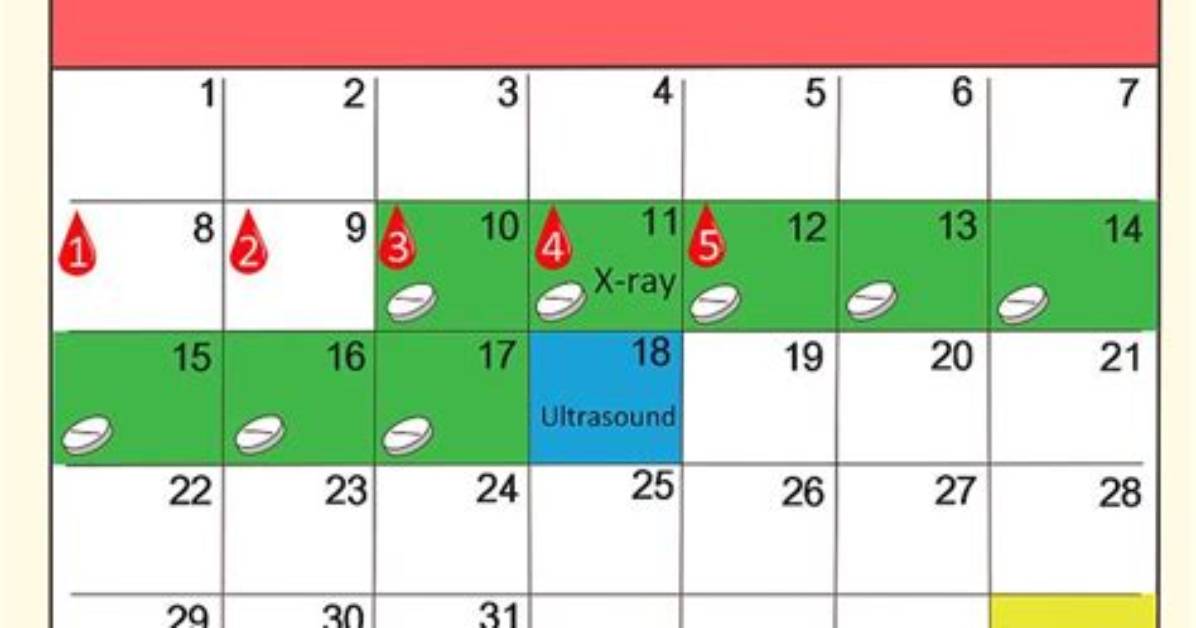 What Days Do You Take Clomid for Twins?