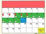 What Days Do You Take Clomid for Twins?